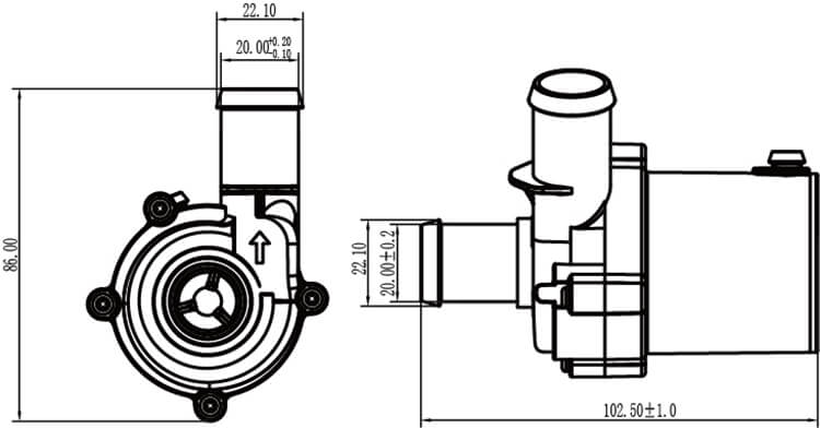 P5039.jpg