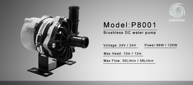 24V Car Pump P8001.jpg