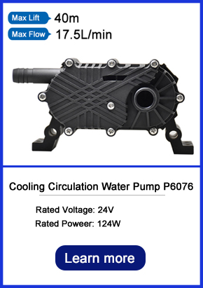 Chiller pump P6076.jpg